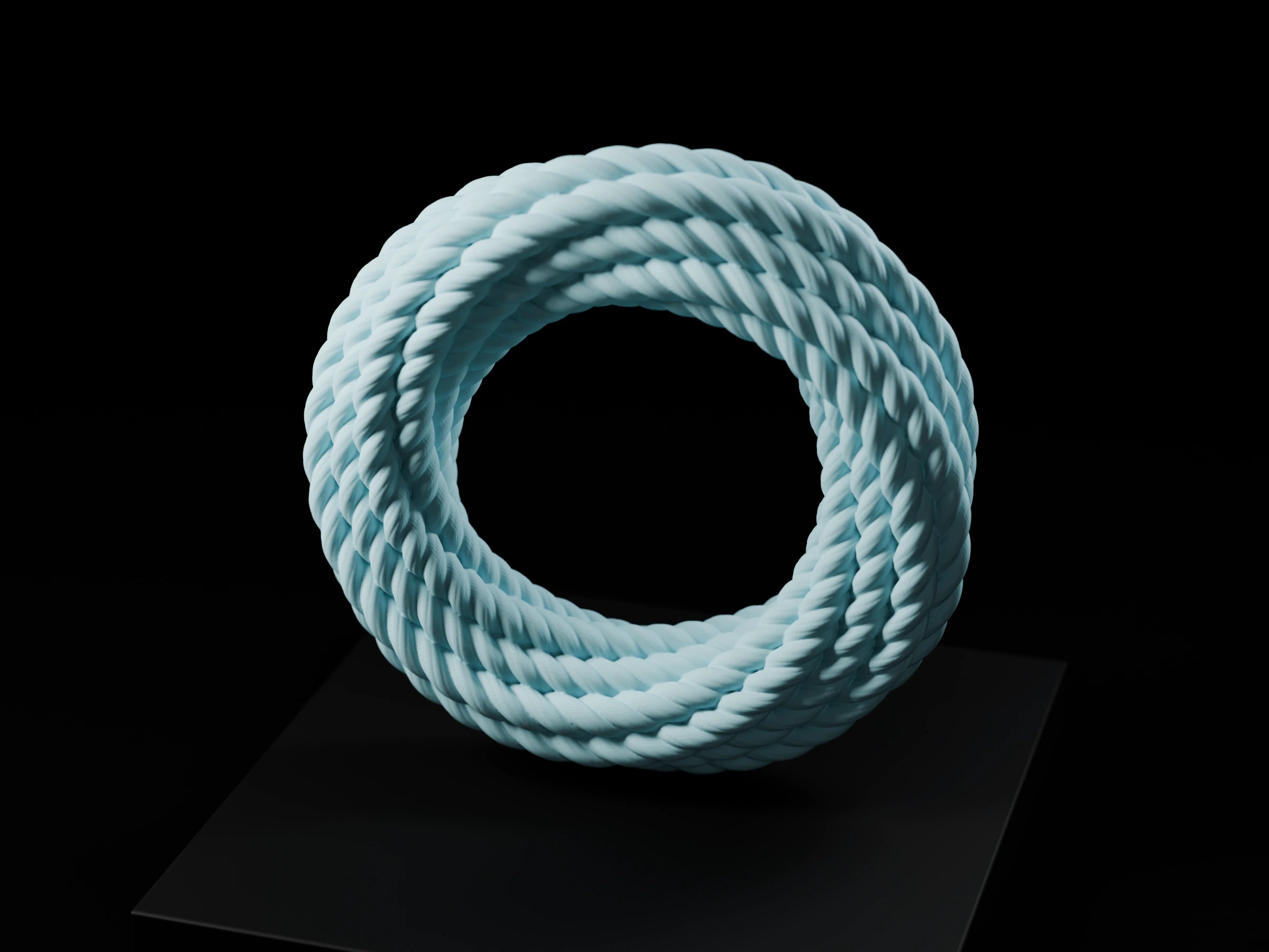 Rope napkin ring — digital render